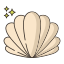 Seashell